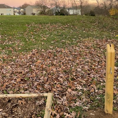 Hole 6– basket in trees/brush line