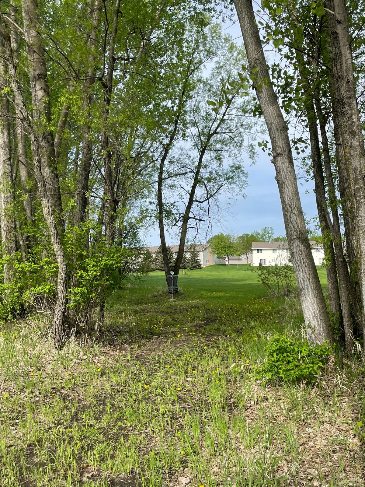 Hole 8 basket