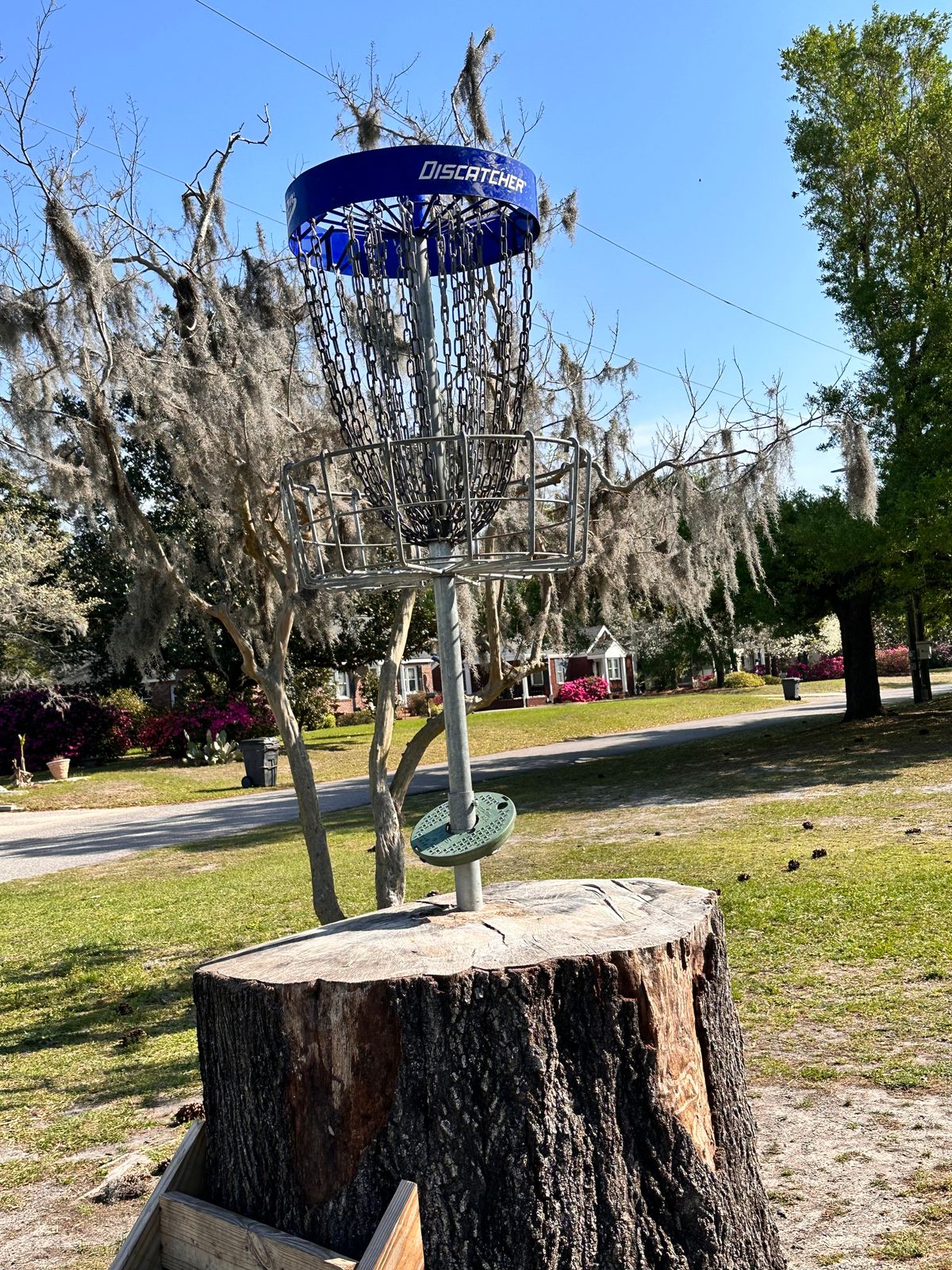 Interesting basket on top of tree stump