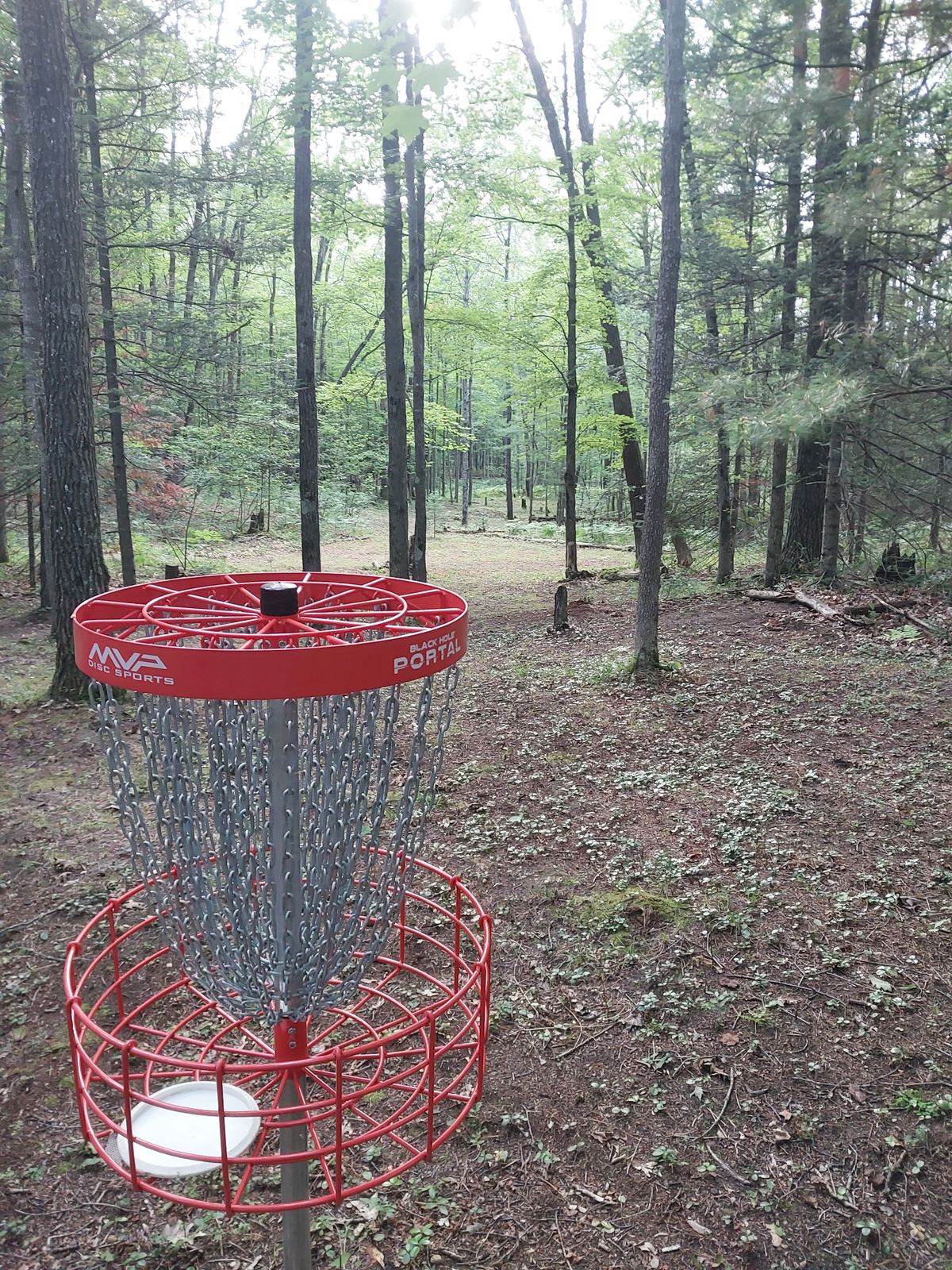 Looking back from basket of Hole 13 to tee