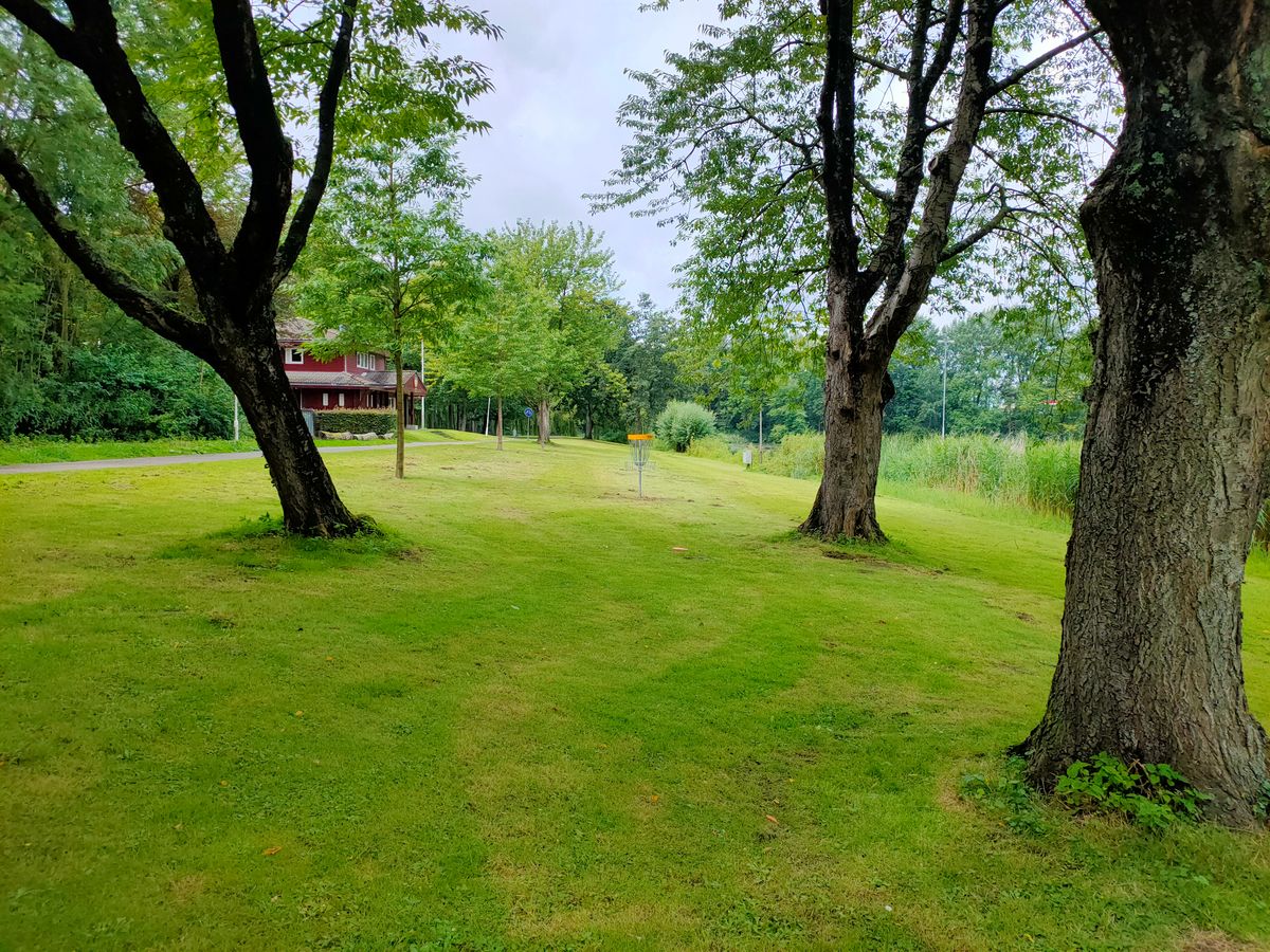 New hole 12's basket. On the right just before the basket you see the mandatory tree that you have to pass on the left side.