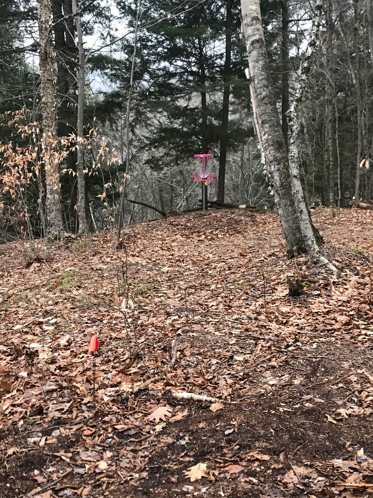 Hole 18’s basket