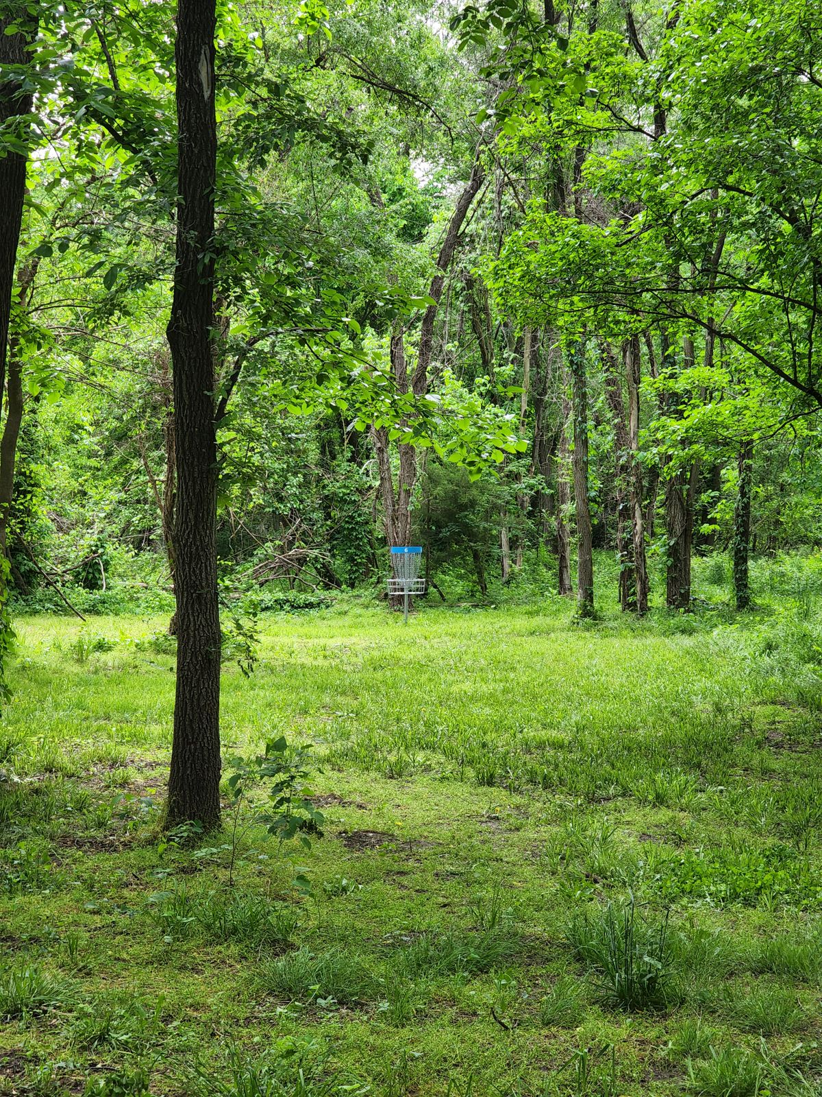 Hole 6, Mid Fairway