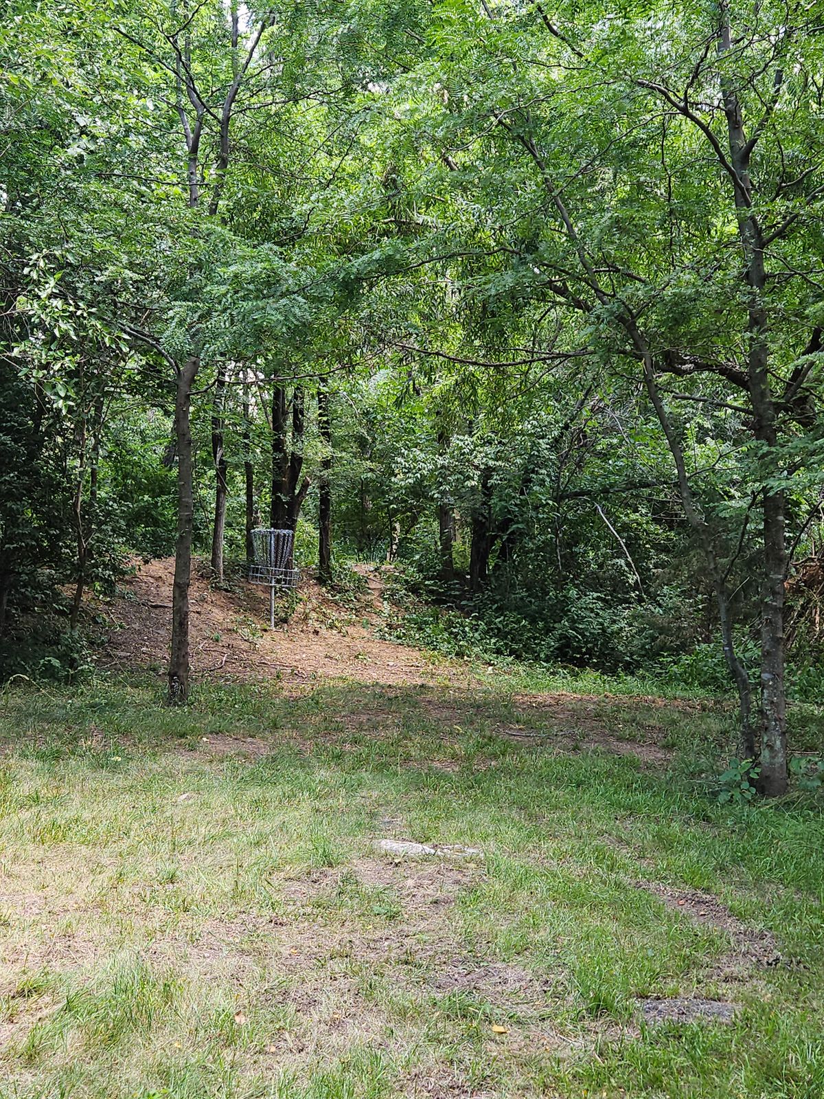 Hole 15