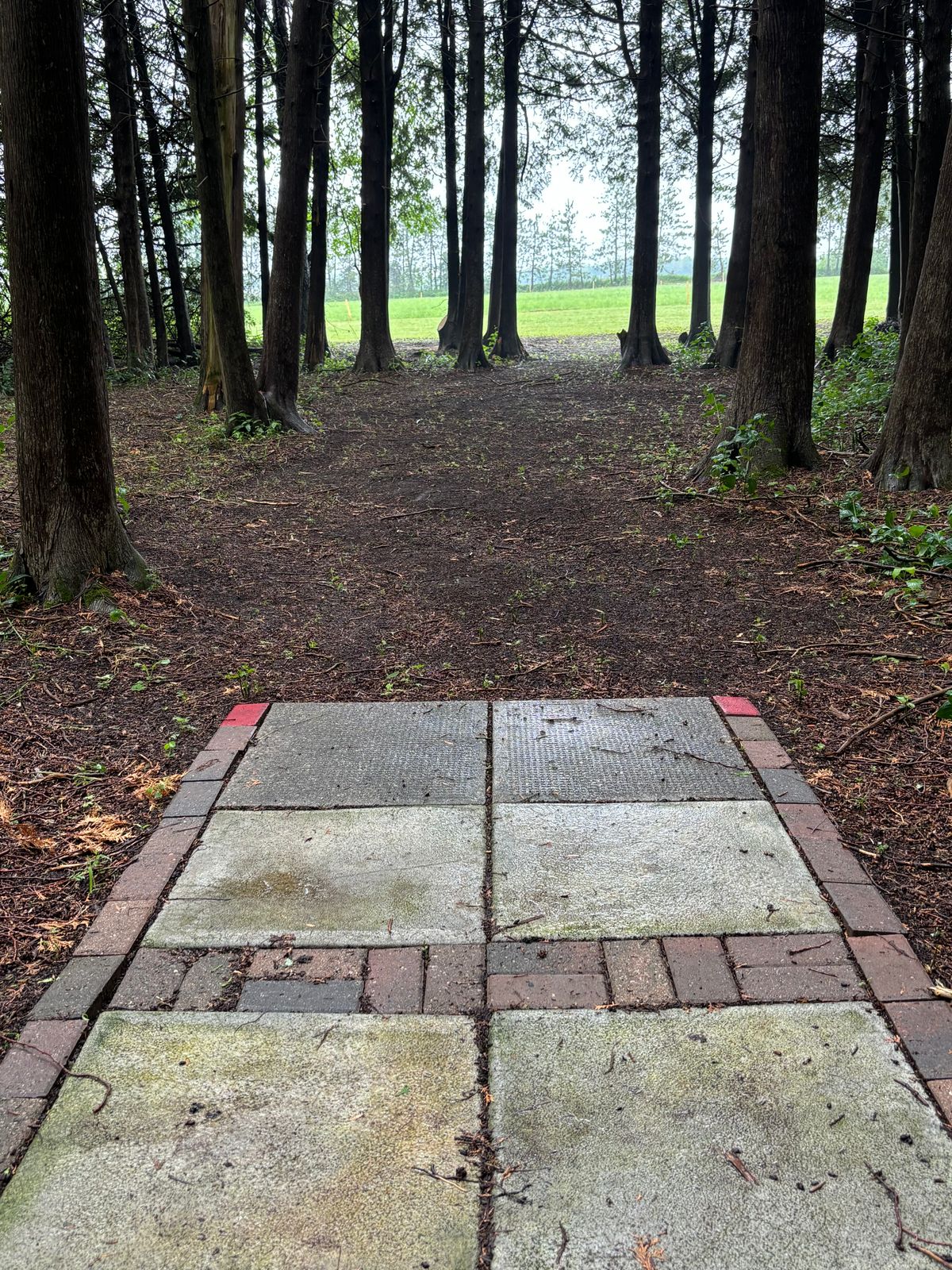 Hole 17 short teepad
