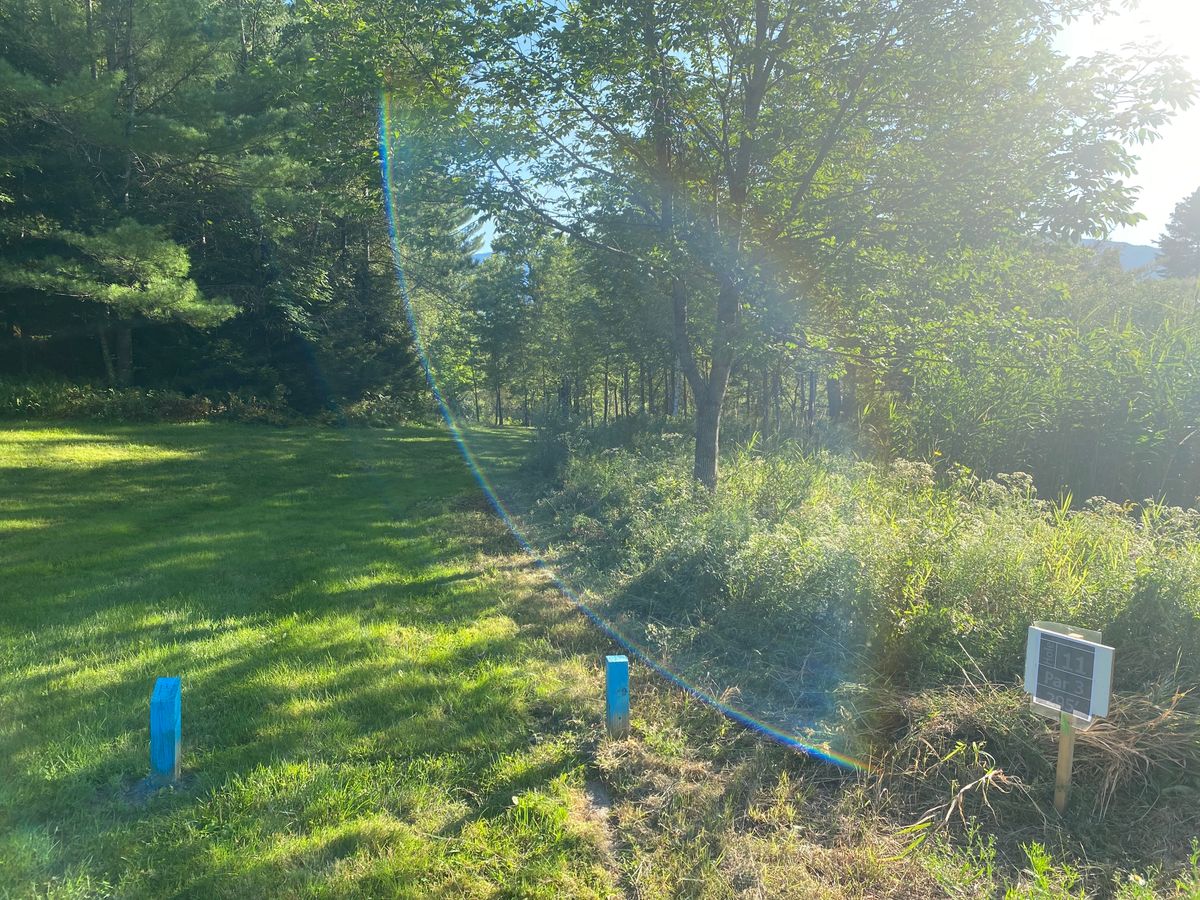 Hole 11 Gold Tee Box