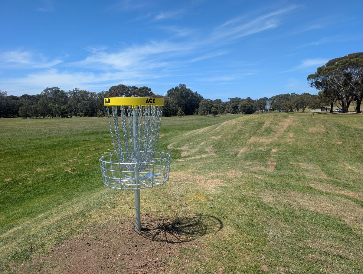 Hole 4s baskets