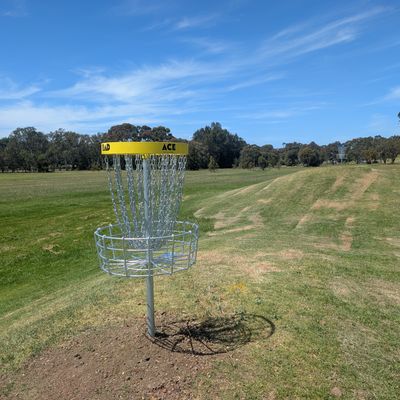 Hole 4s baskets