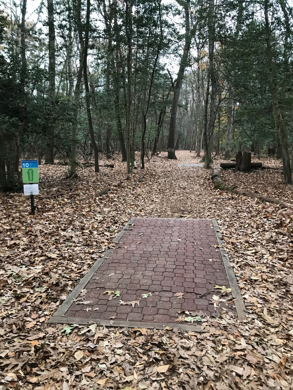 Hole 10 long tee