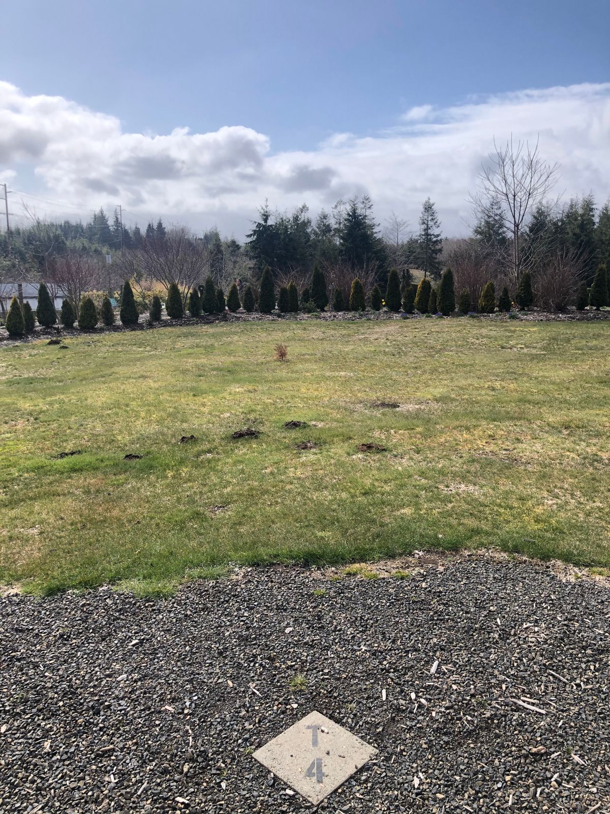 Hole 4, target is past the little trees