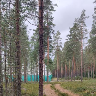 Väylä 1
