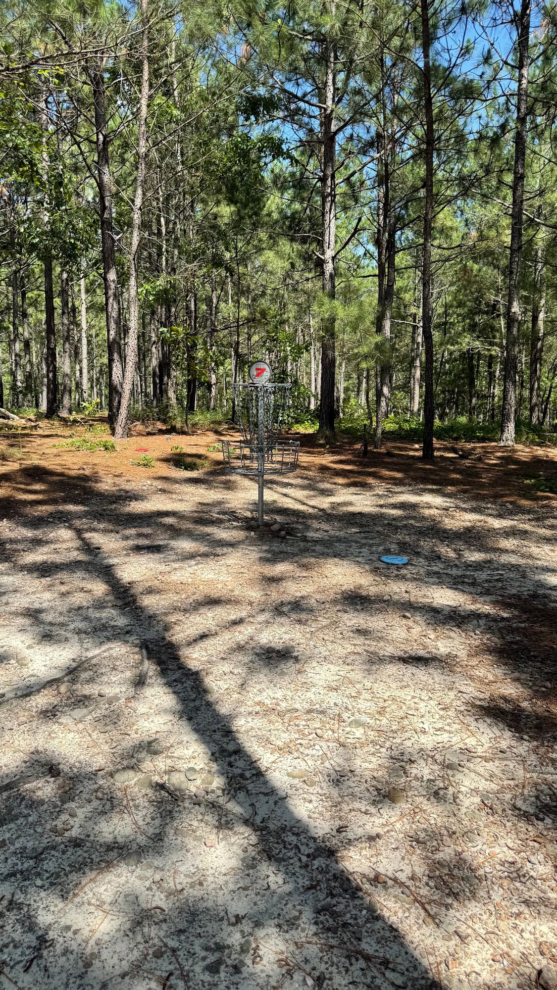 Hole 7 Basket