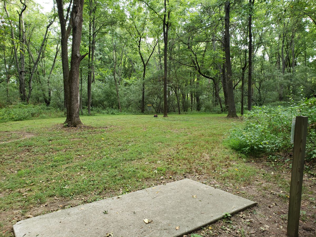 #7 Green from #8 Tee-Pad
