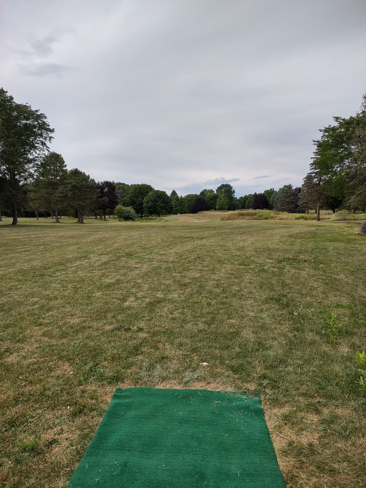 Hole 4 tee