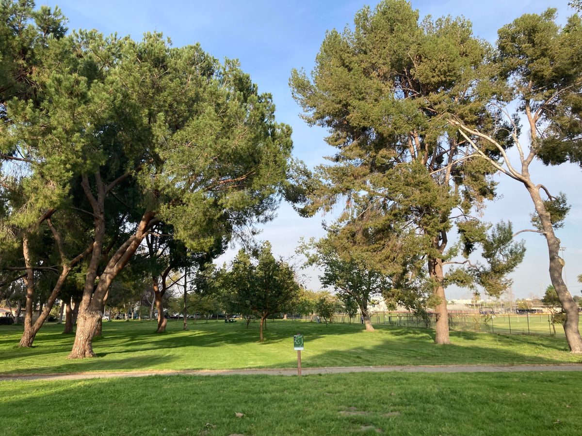 Hole 24