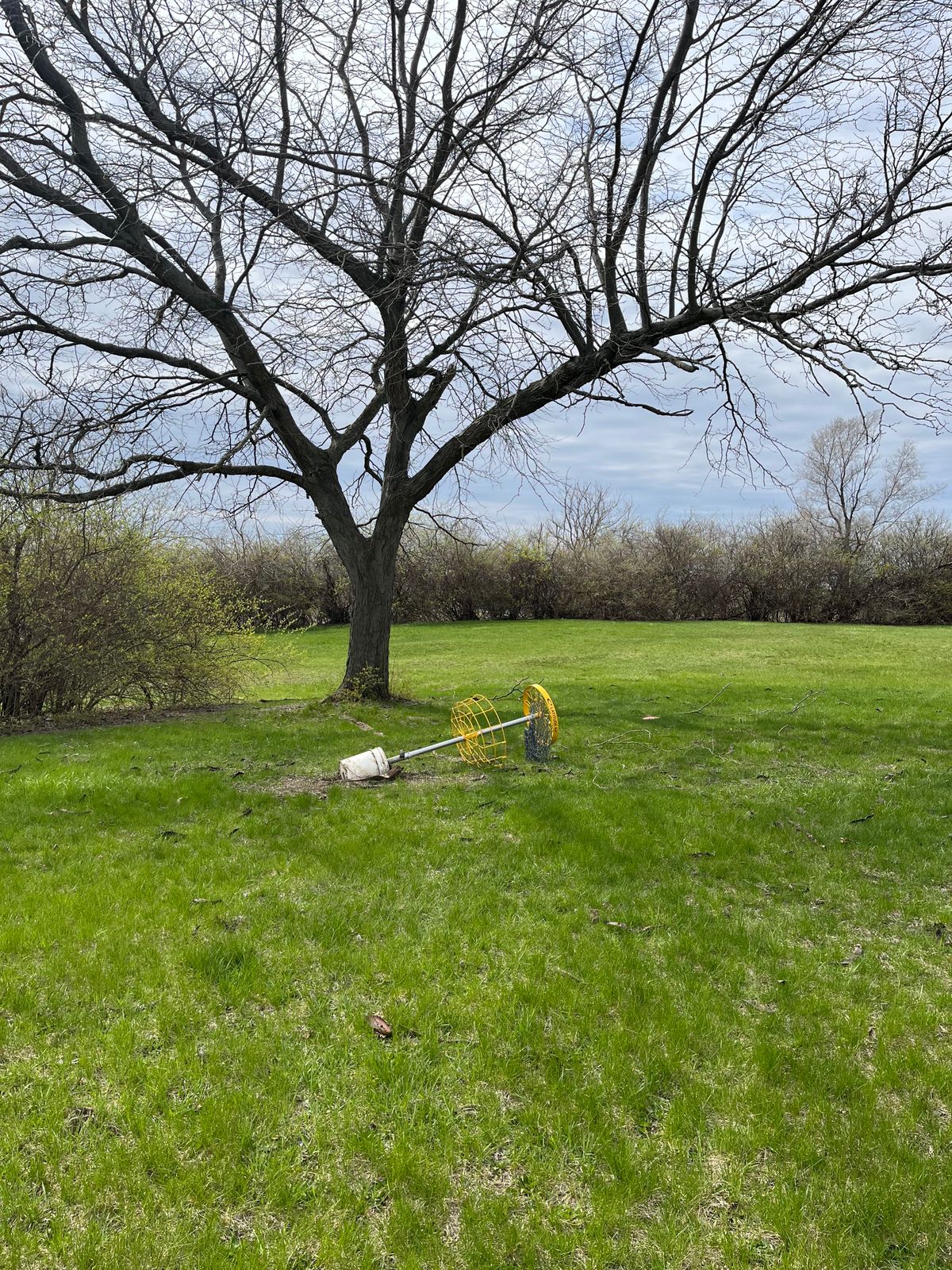 Hole 15
