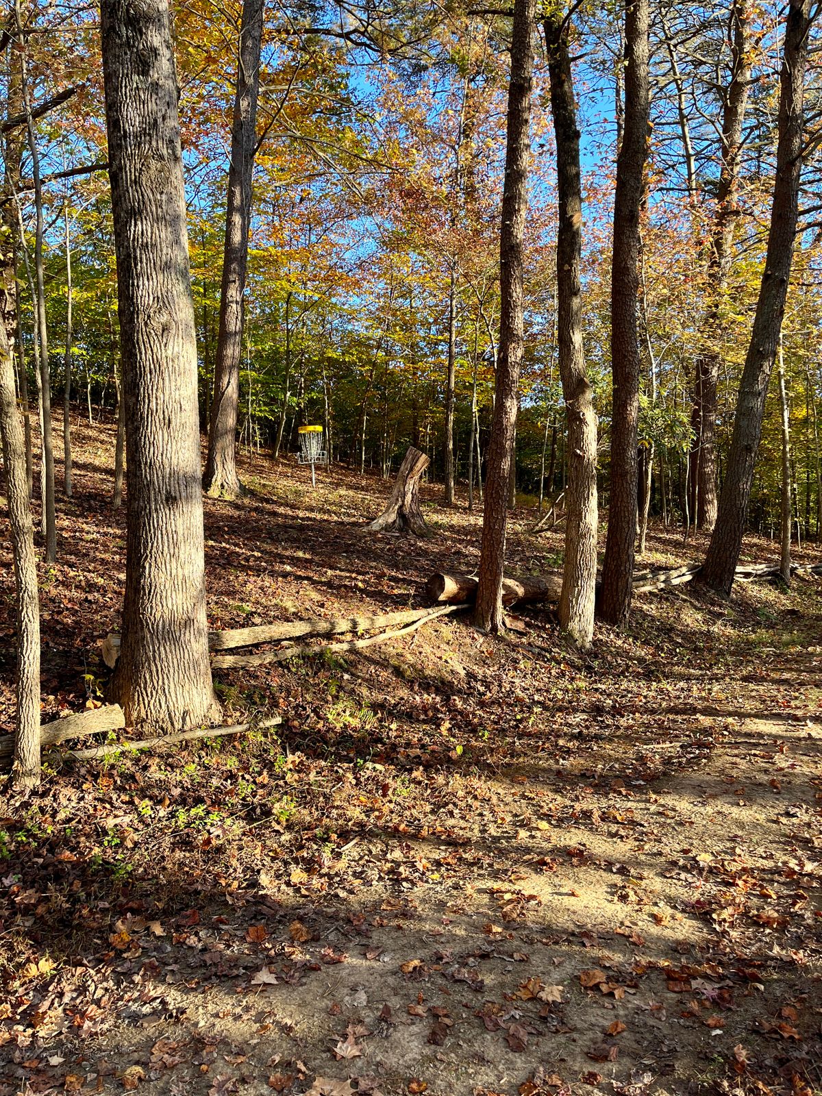 6's basket up to left from tunnel road
