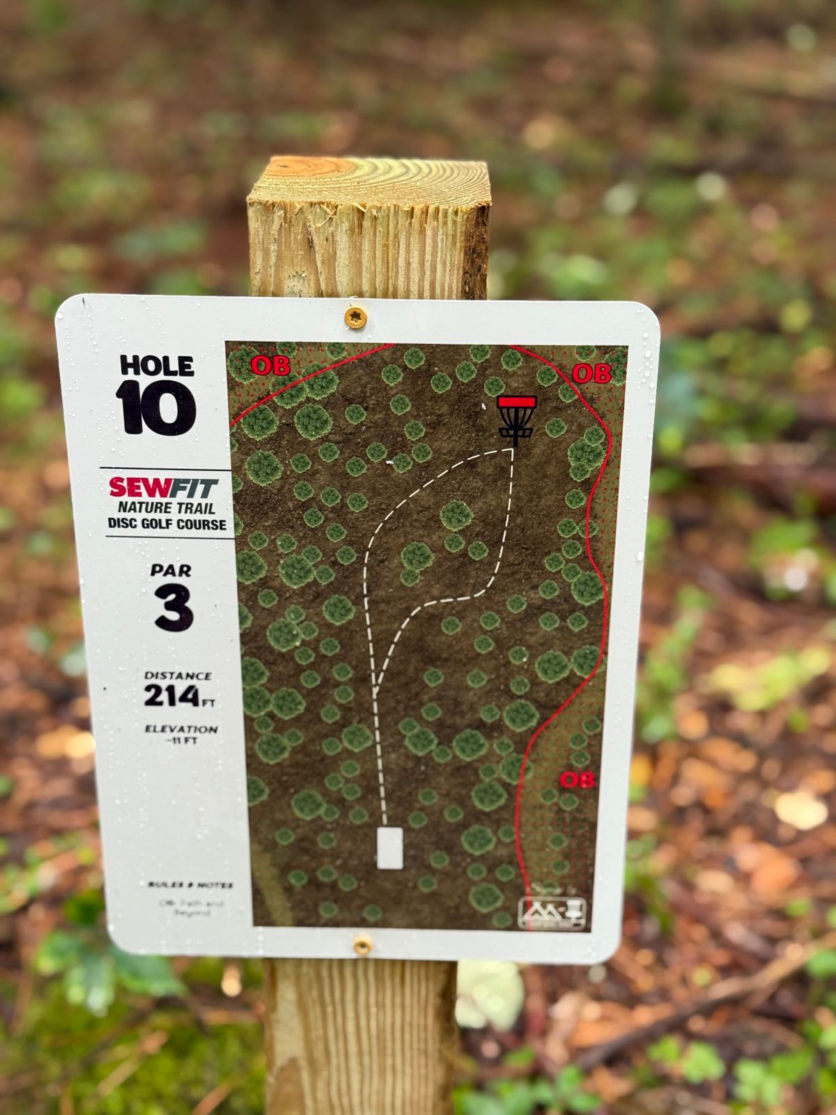 Hole 10