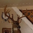 binkley71