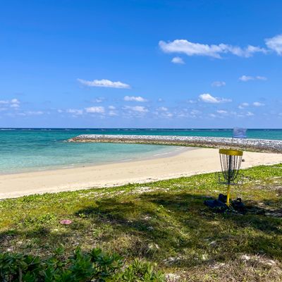 Okinawa Open 2024 - Hole 7 basket