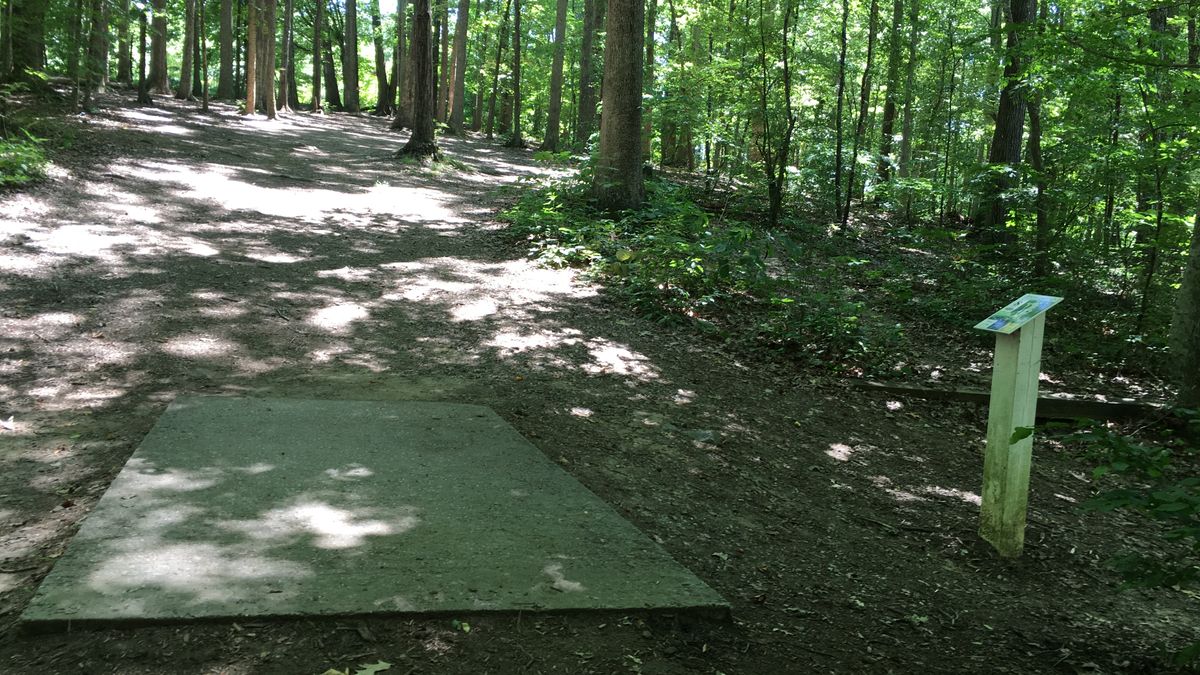 Hole 8