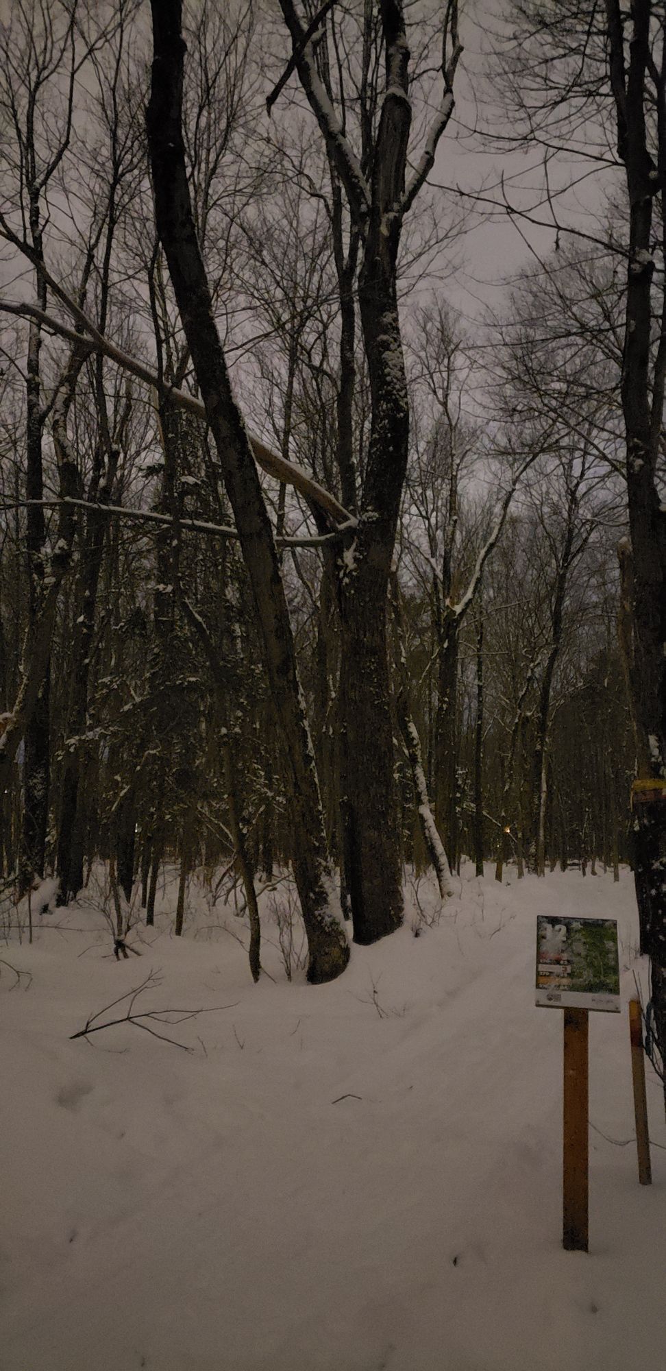 Winter night, on #12!