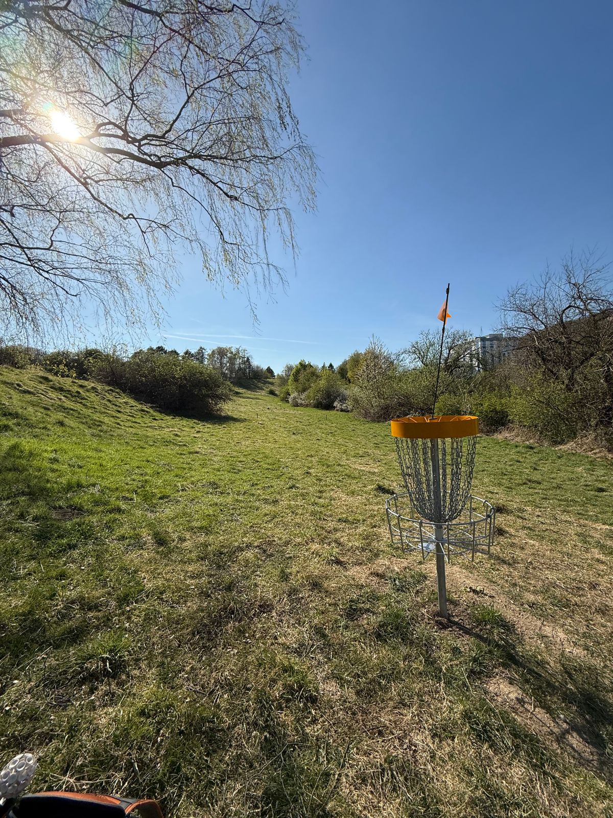 Hole 8 Basket