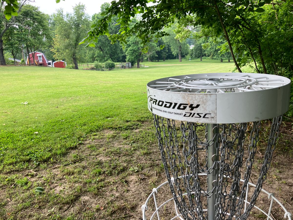 Hole 13 basket looking at tee area.