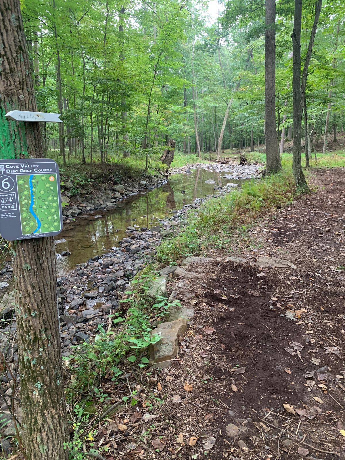 Hole 6, short tee
