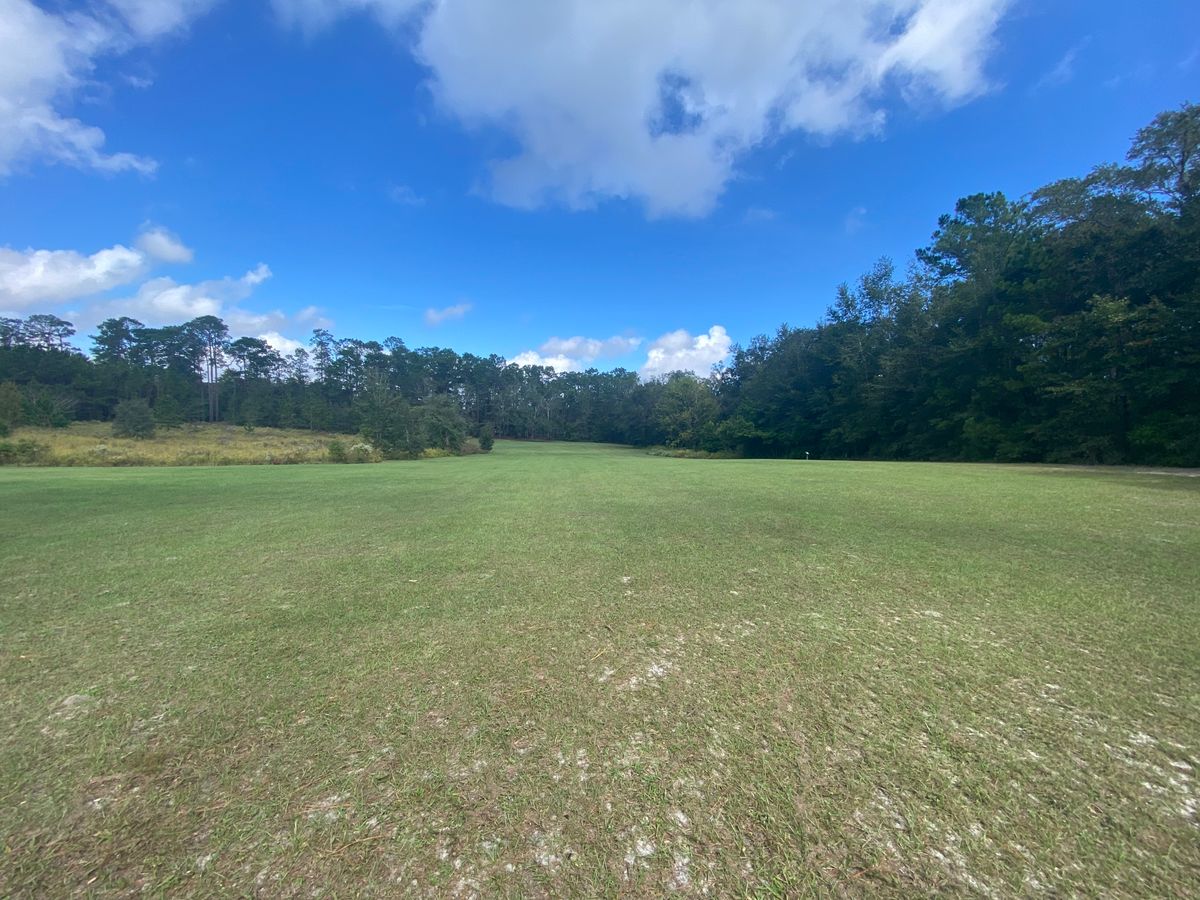 Nice open area
