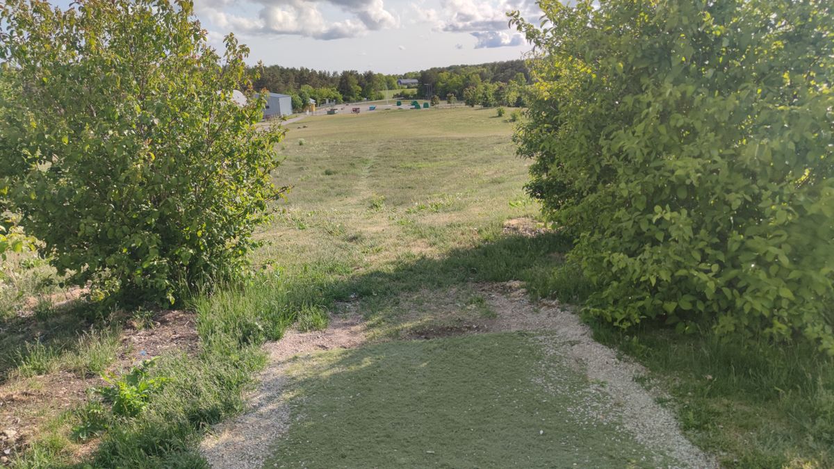 Tee 6