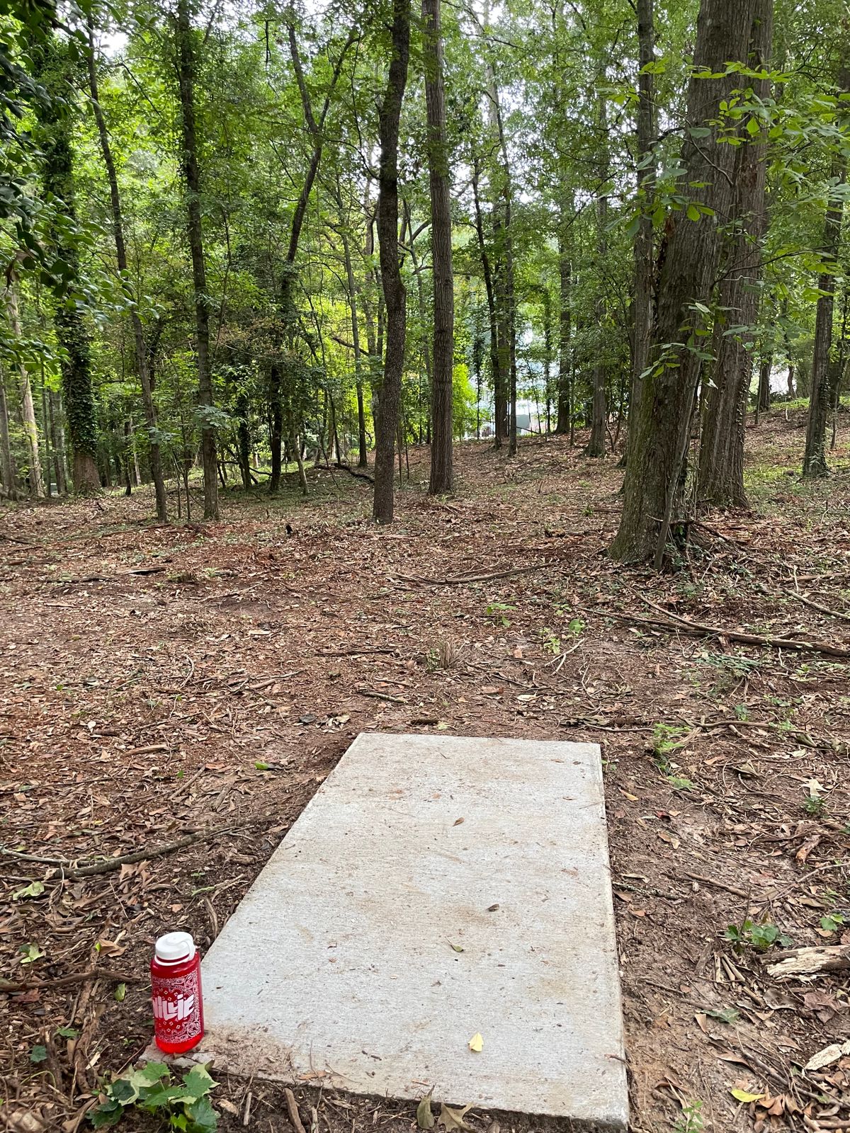 Tee 8