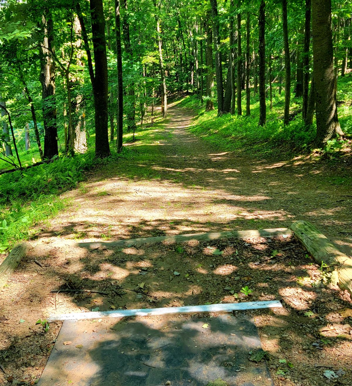 Tight fairway w big trouble on left