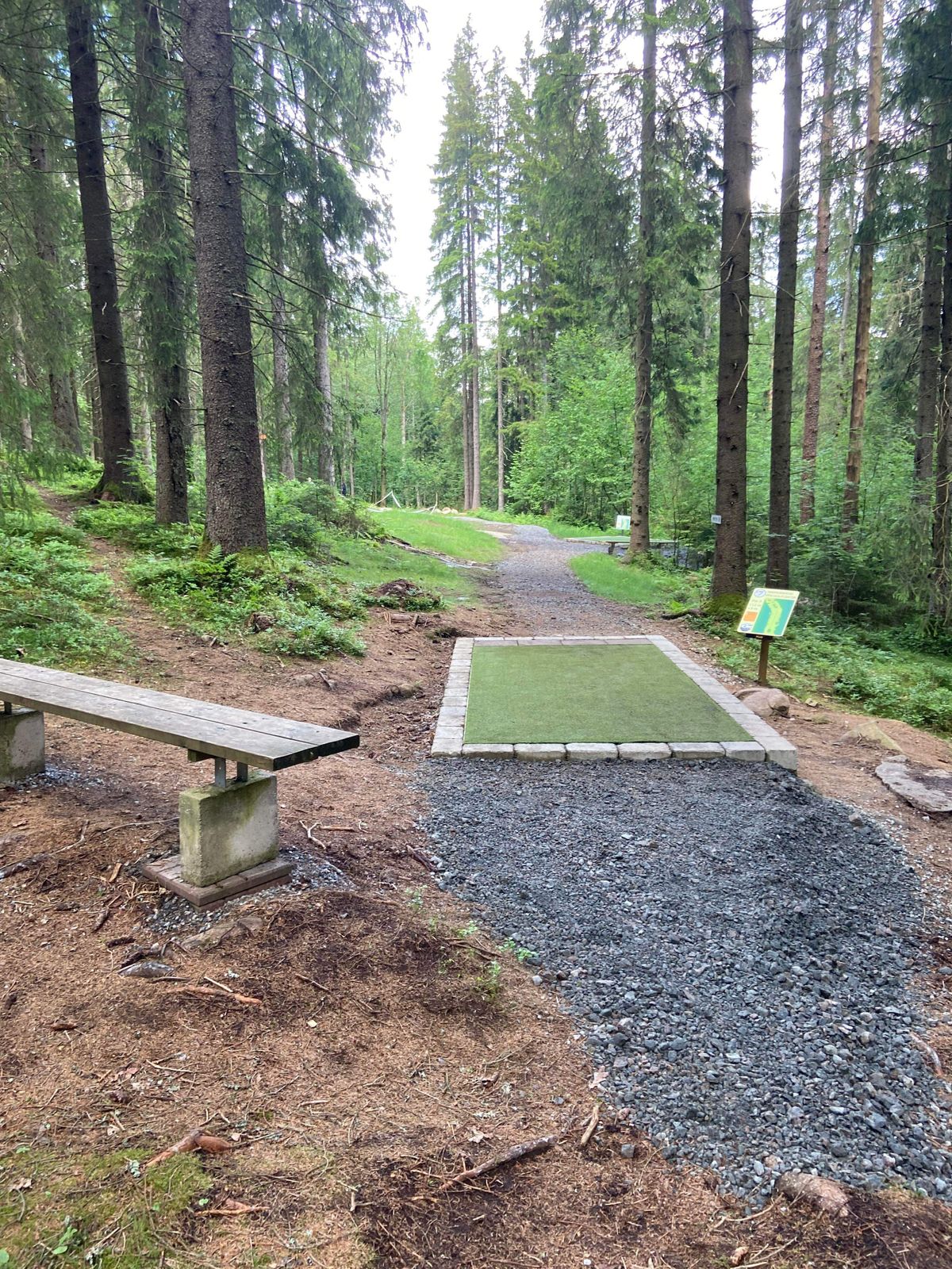 Gold tee hole 7