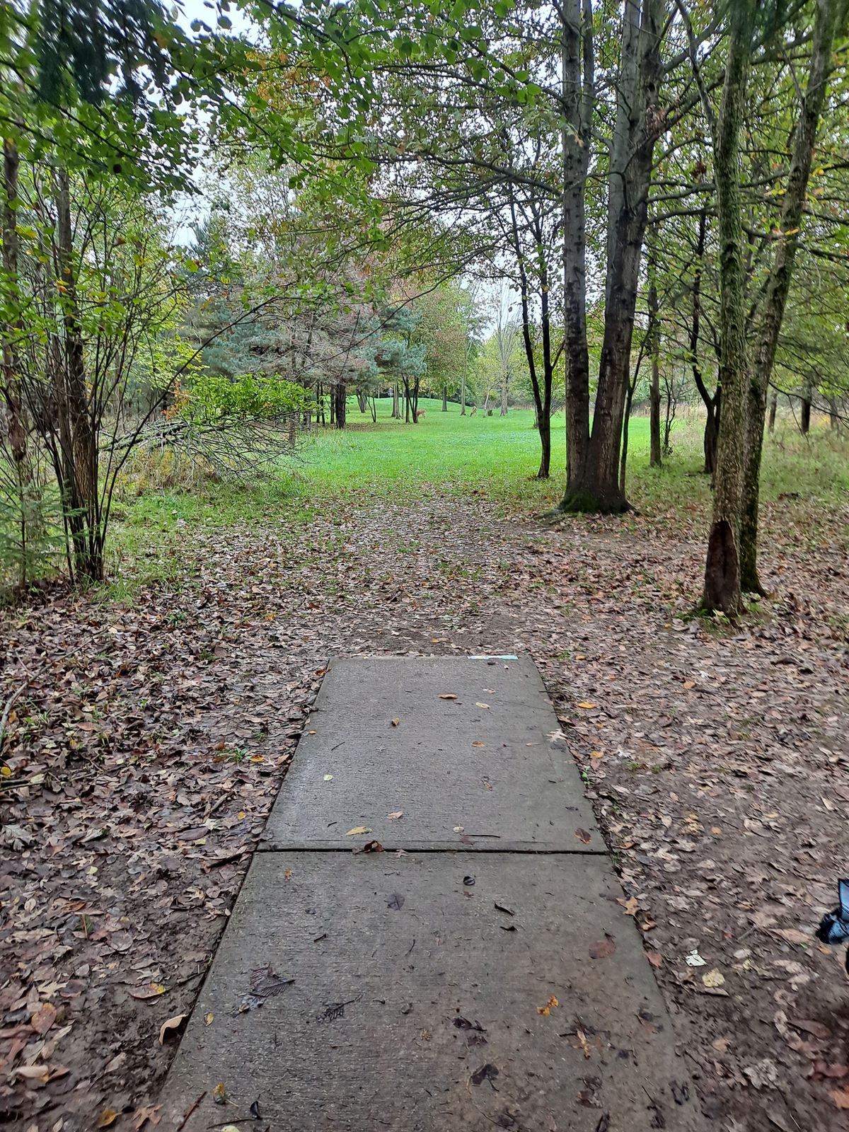 Hole 4