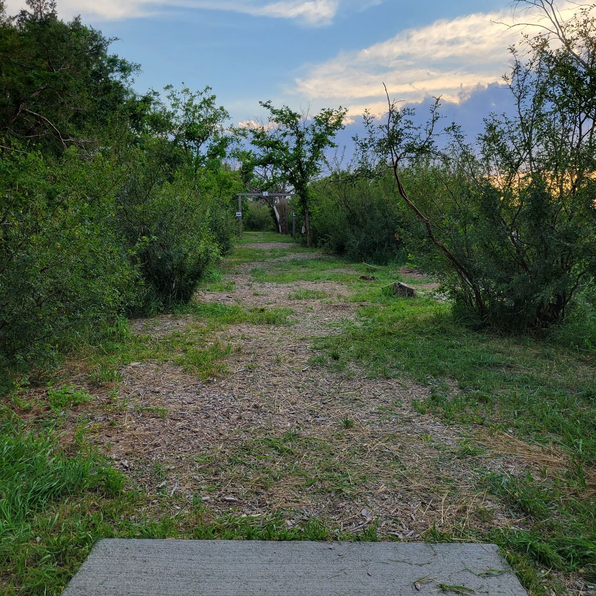Hole 17 tee box