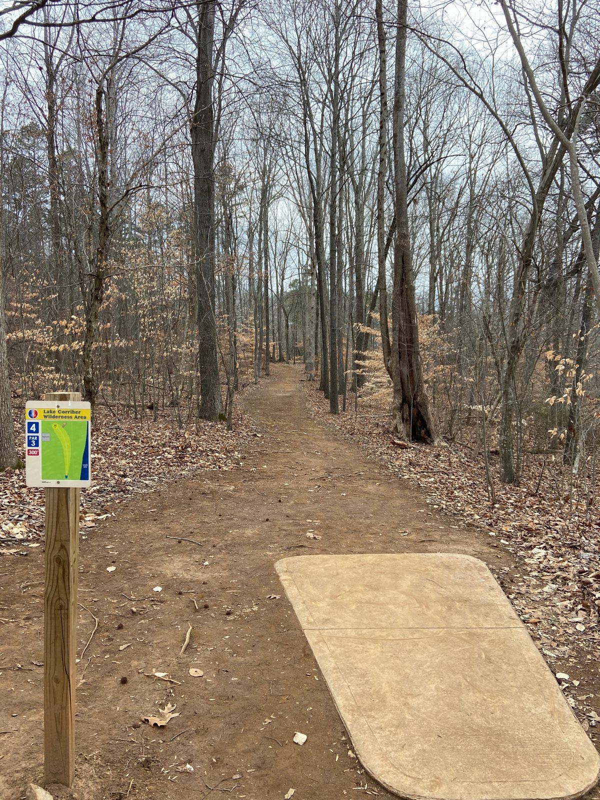 Hole 4
