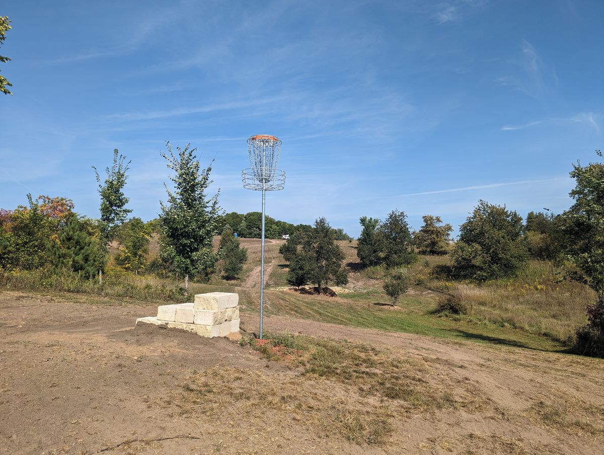 Short Basket looking back at fairway.