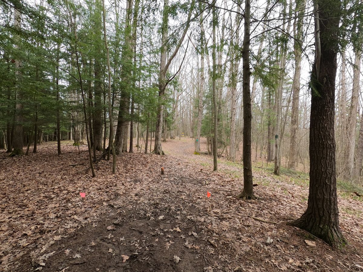 Hole #11 Tee