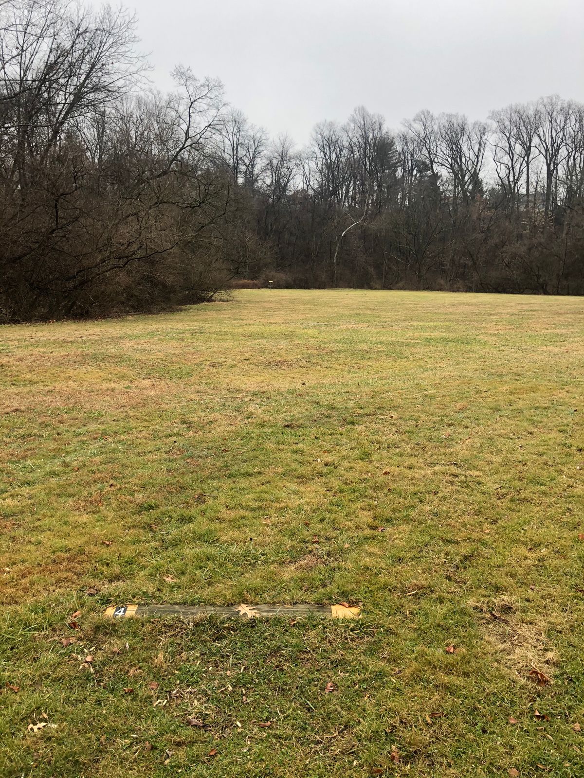 Hole #004