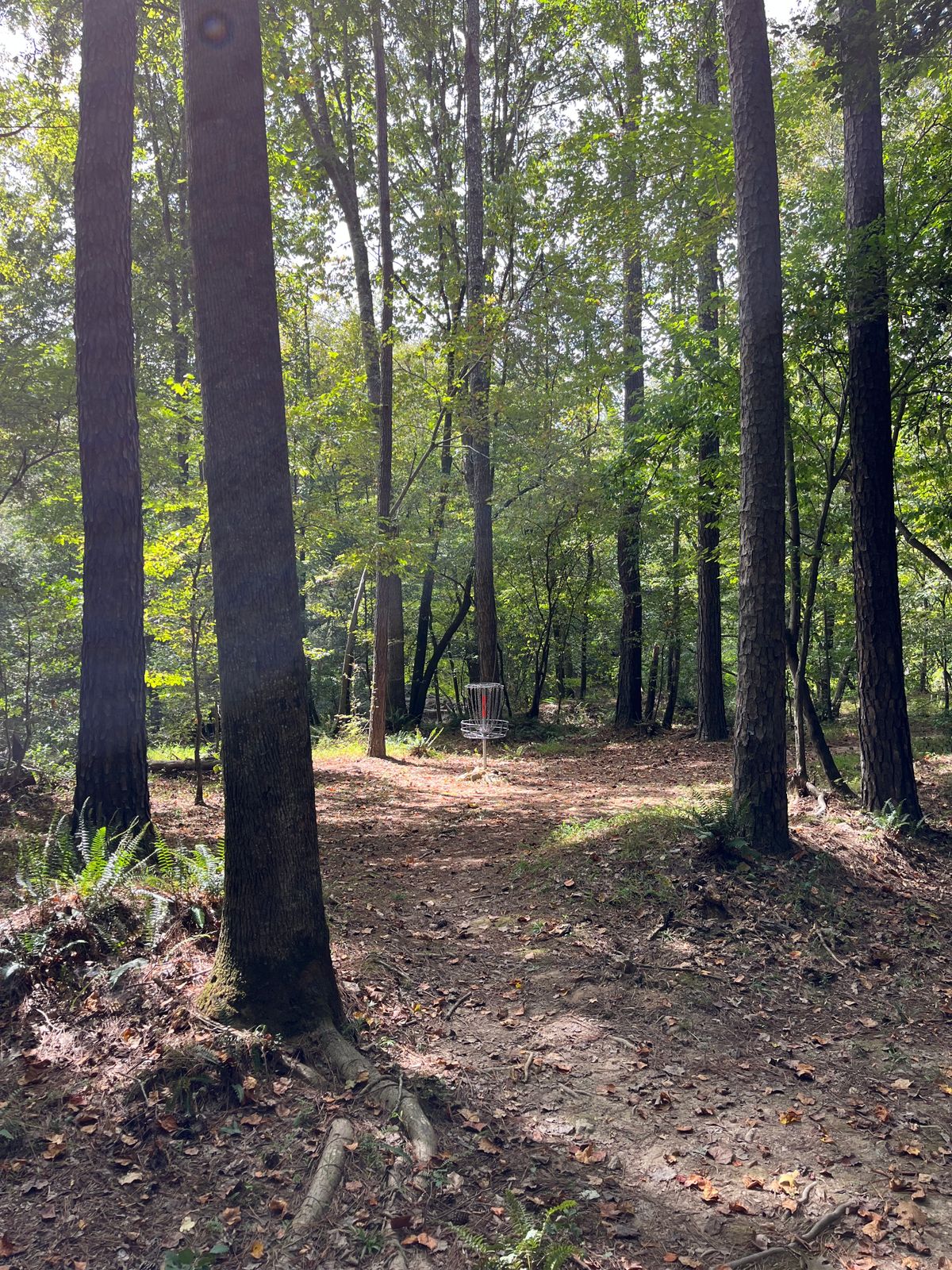 Hole 9: green