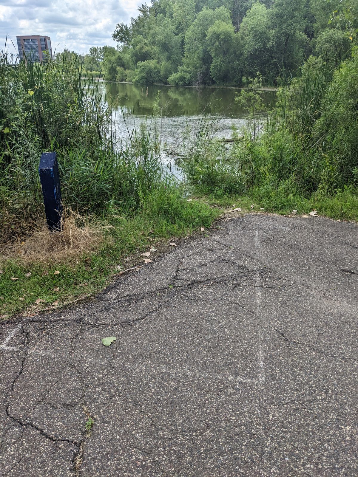 Unusable tee pad on hole 8