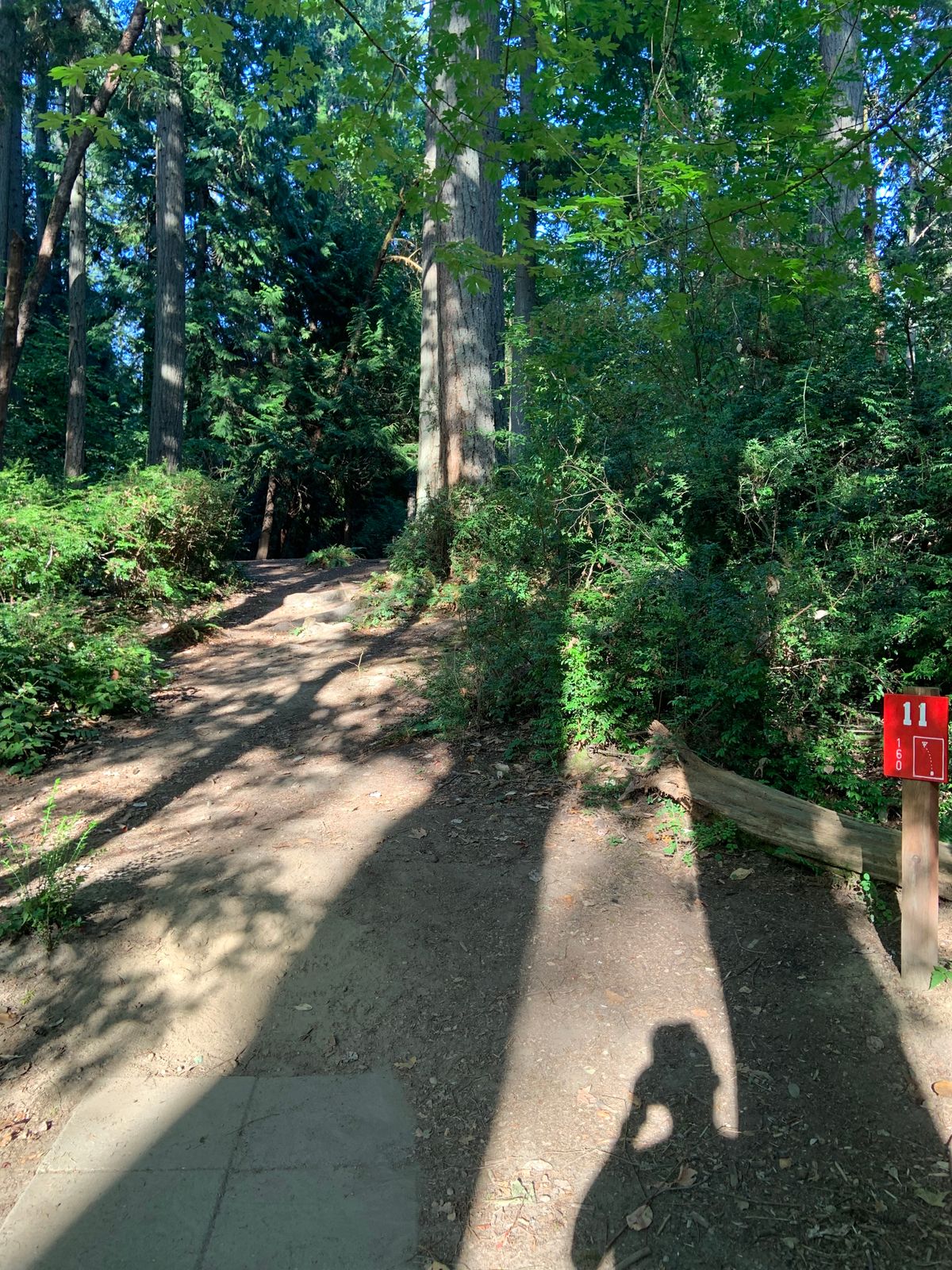 Hole 11 - Red Tee