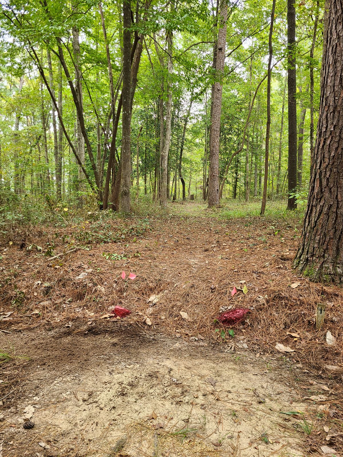 Hole 14