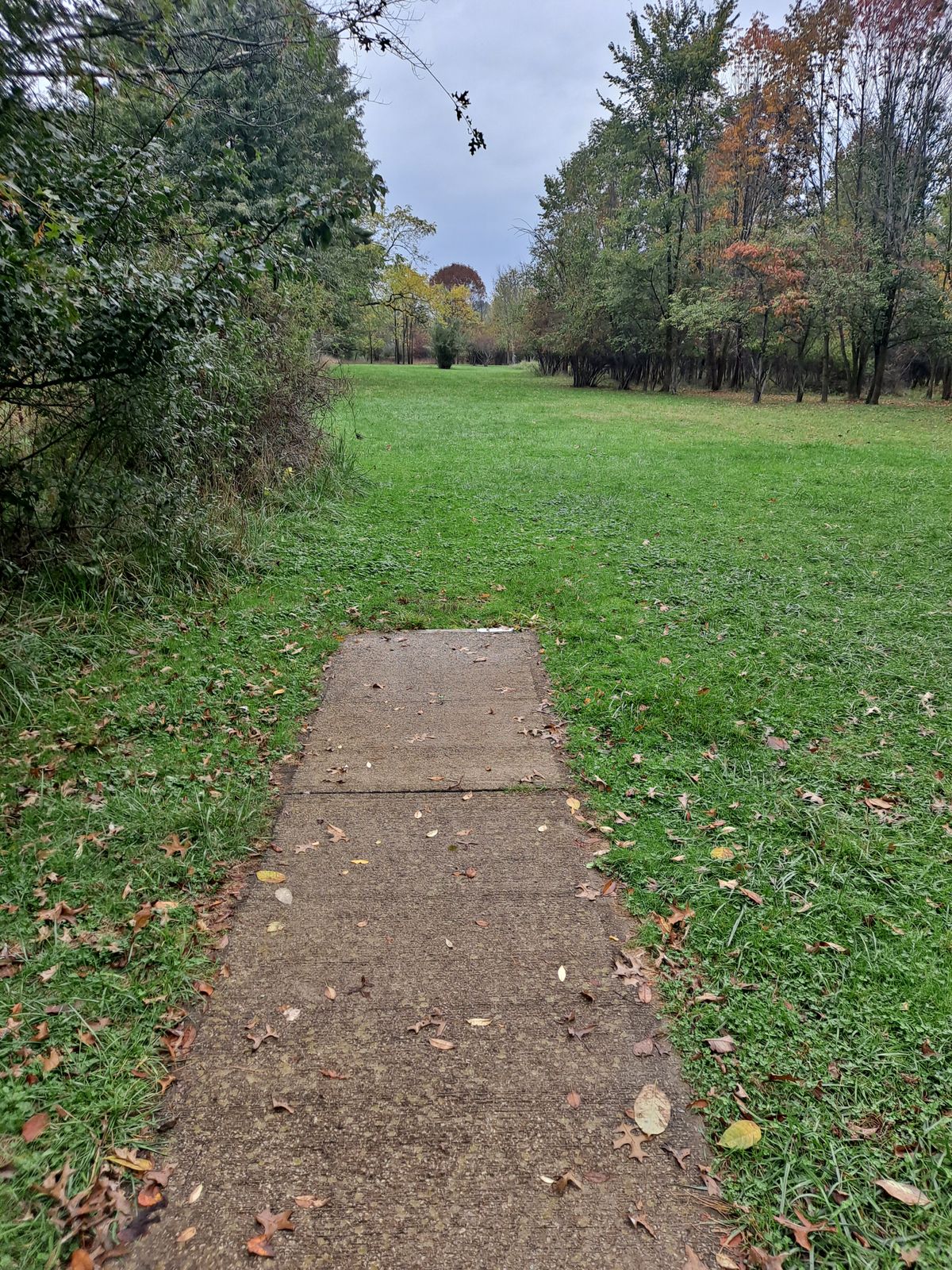 Hole 2 short