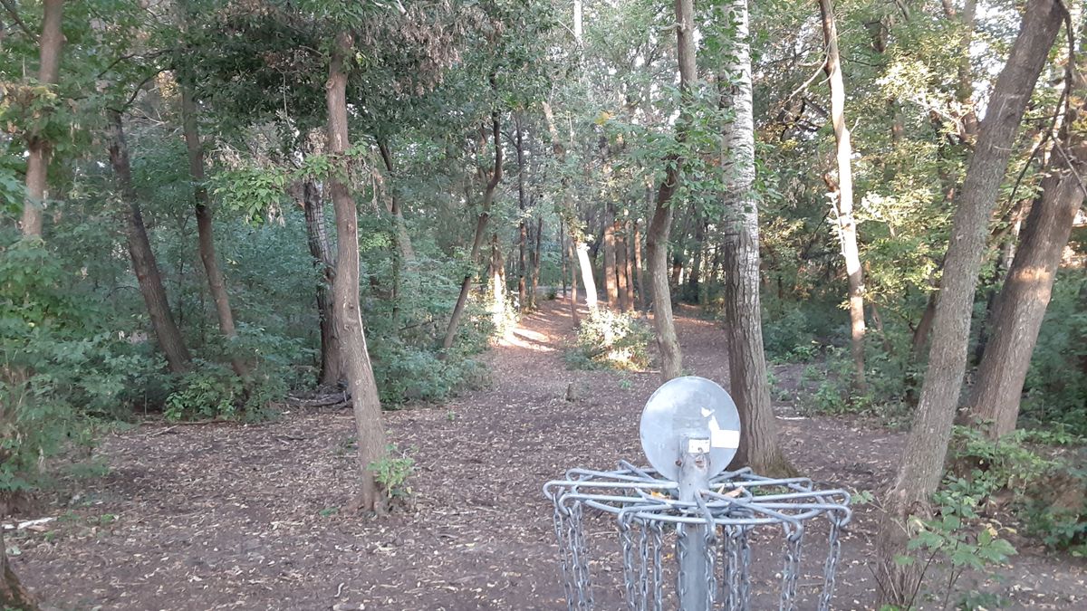 Looking back toward tee of 1.