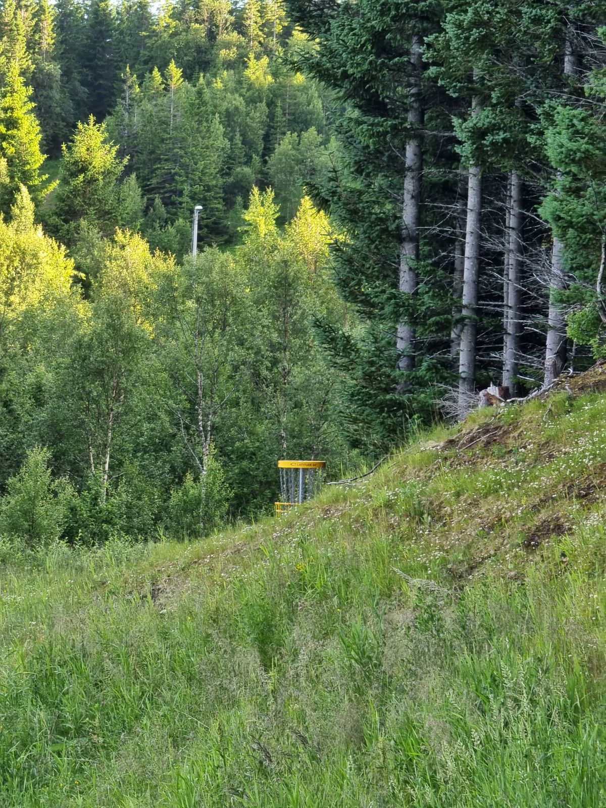 Kurv hull 14 sett fra teepad