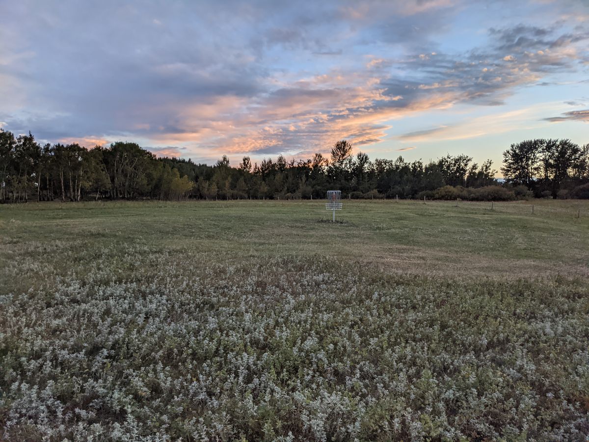 Hole 3 basket