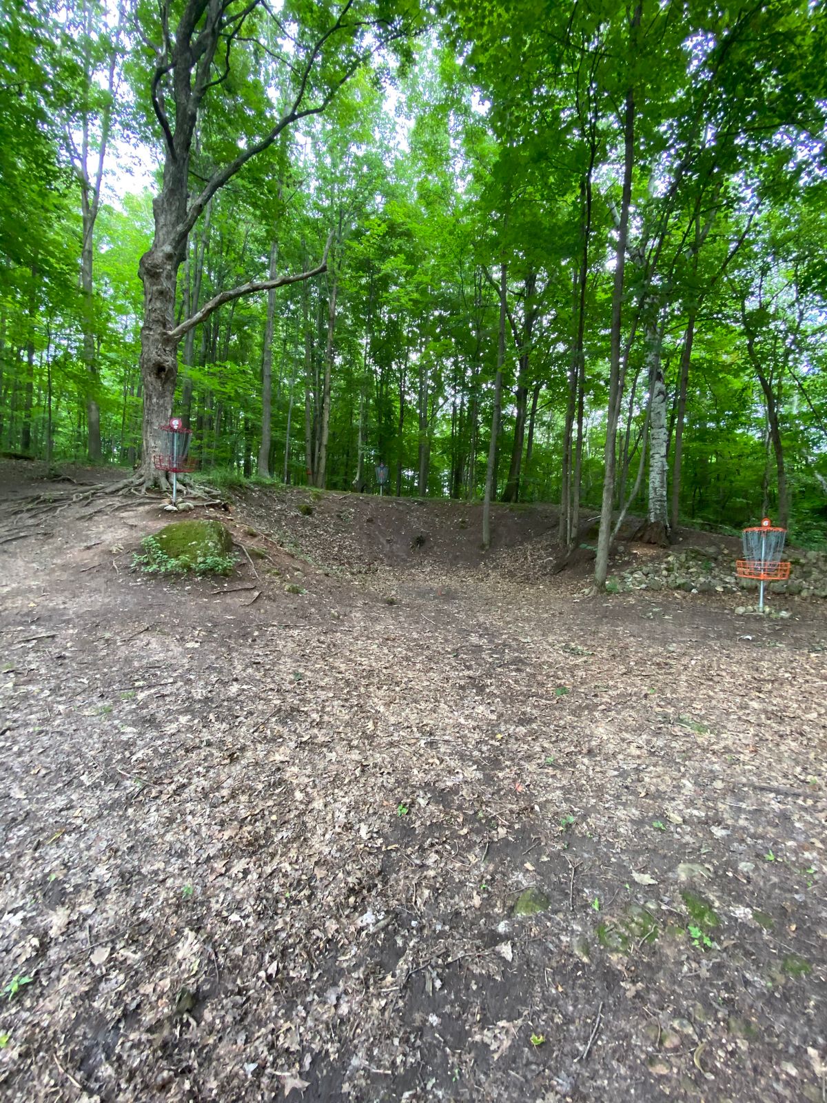 Hole 6 baskets.