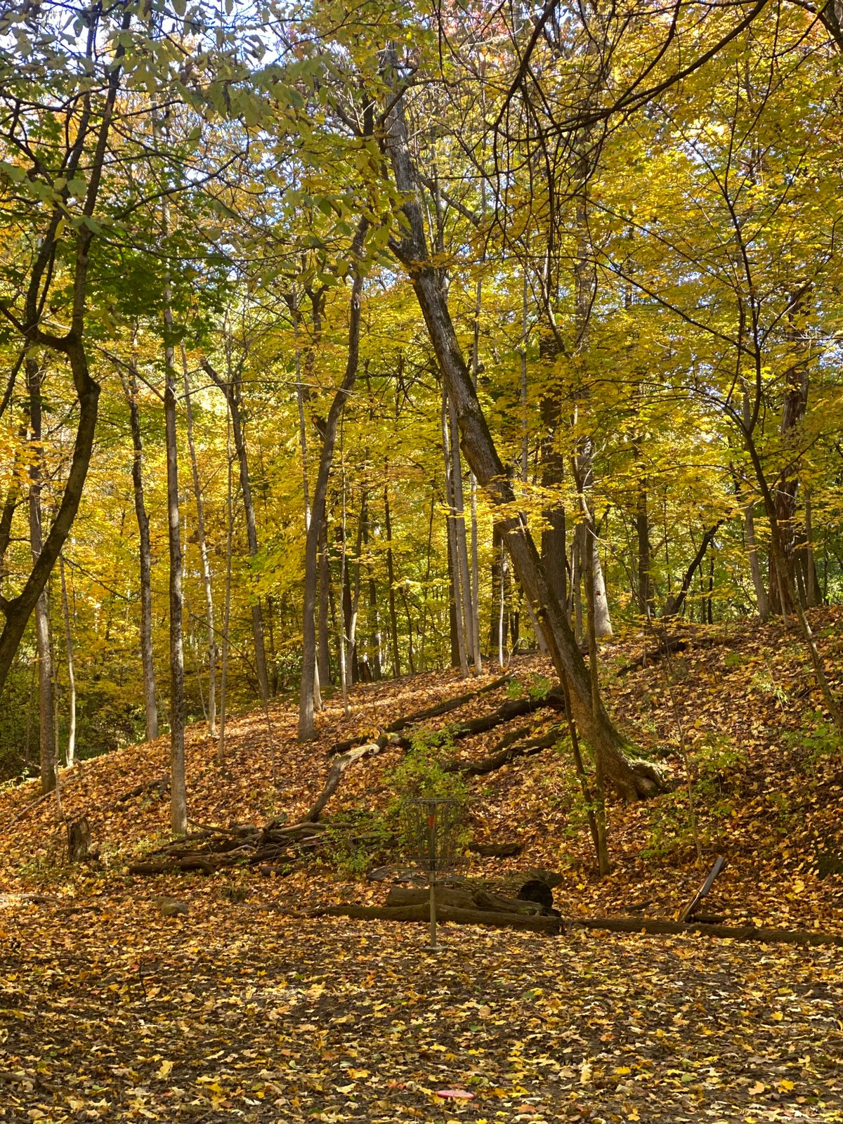 Hole 12 Basket